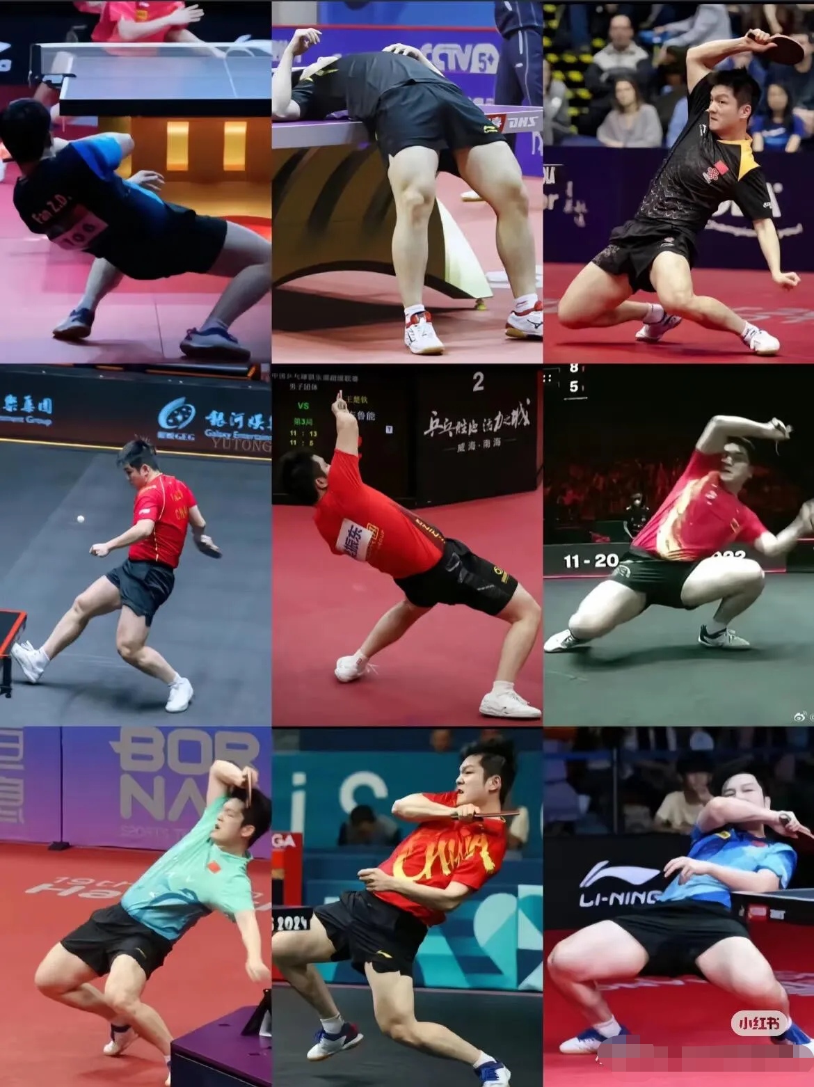 中国乒乓球队碾压德国乒乓球队，奥恰洛夫关键制胜的简单介绍