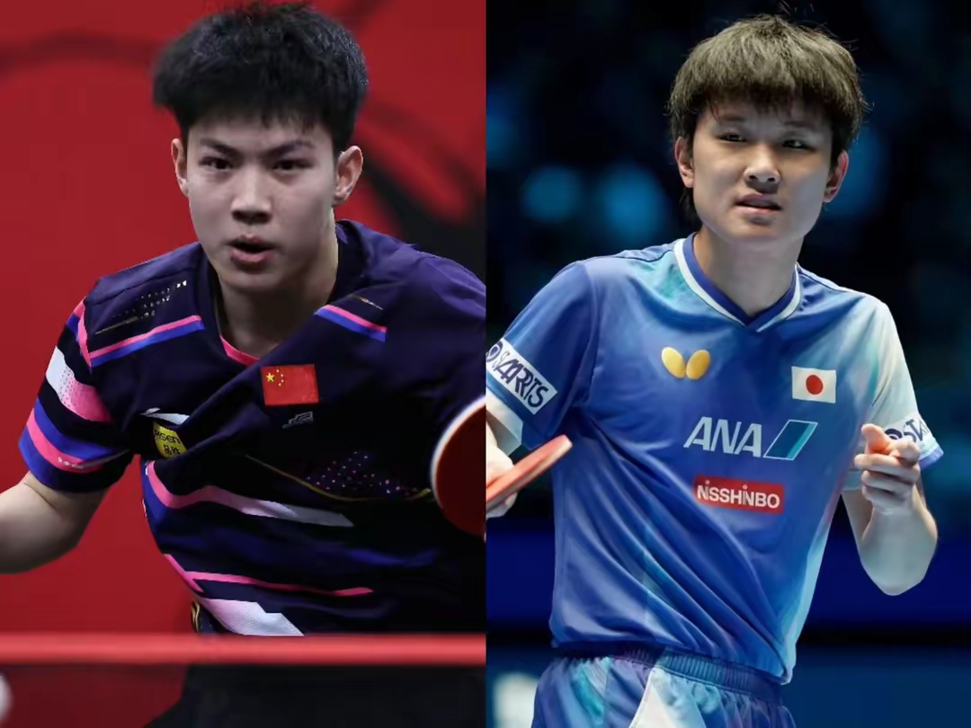 日本队横扫葡萄牙队，张本智和扛起全队